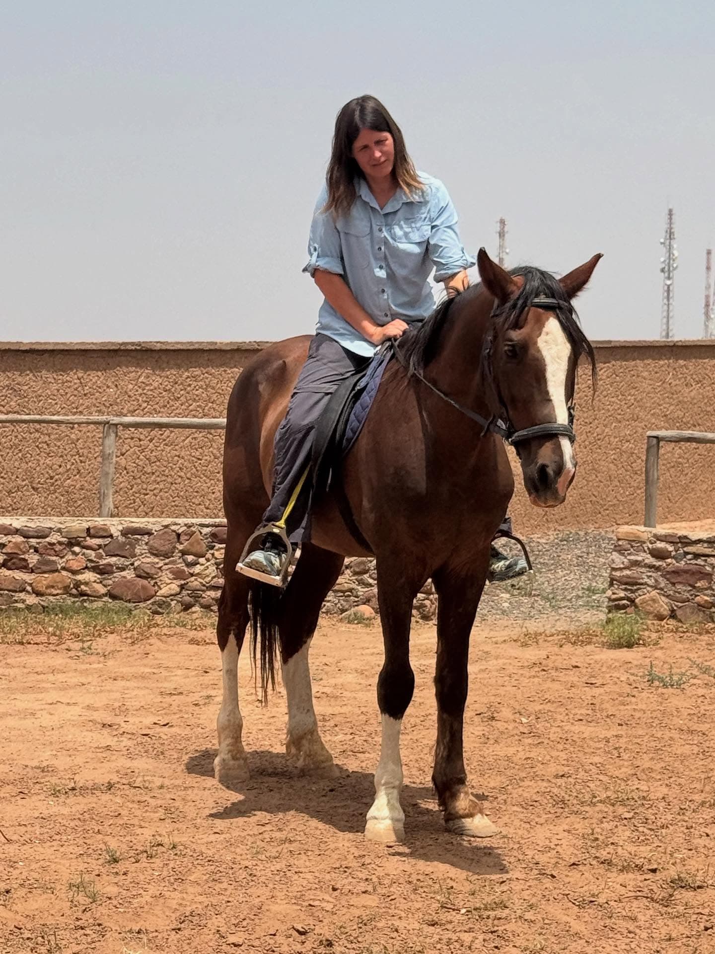 Gladiator, a horse at Jarjeer