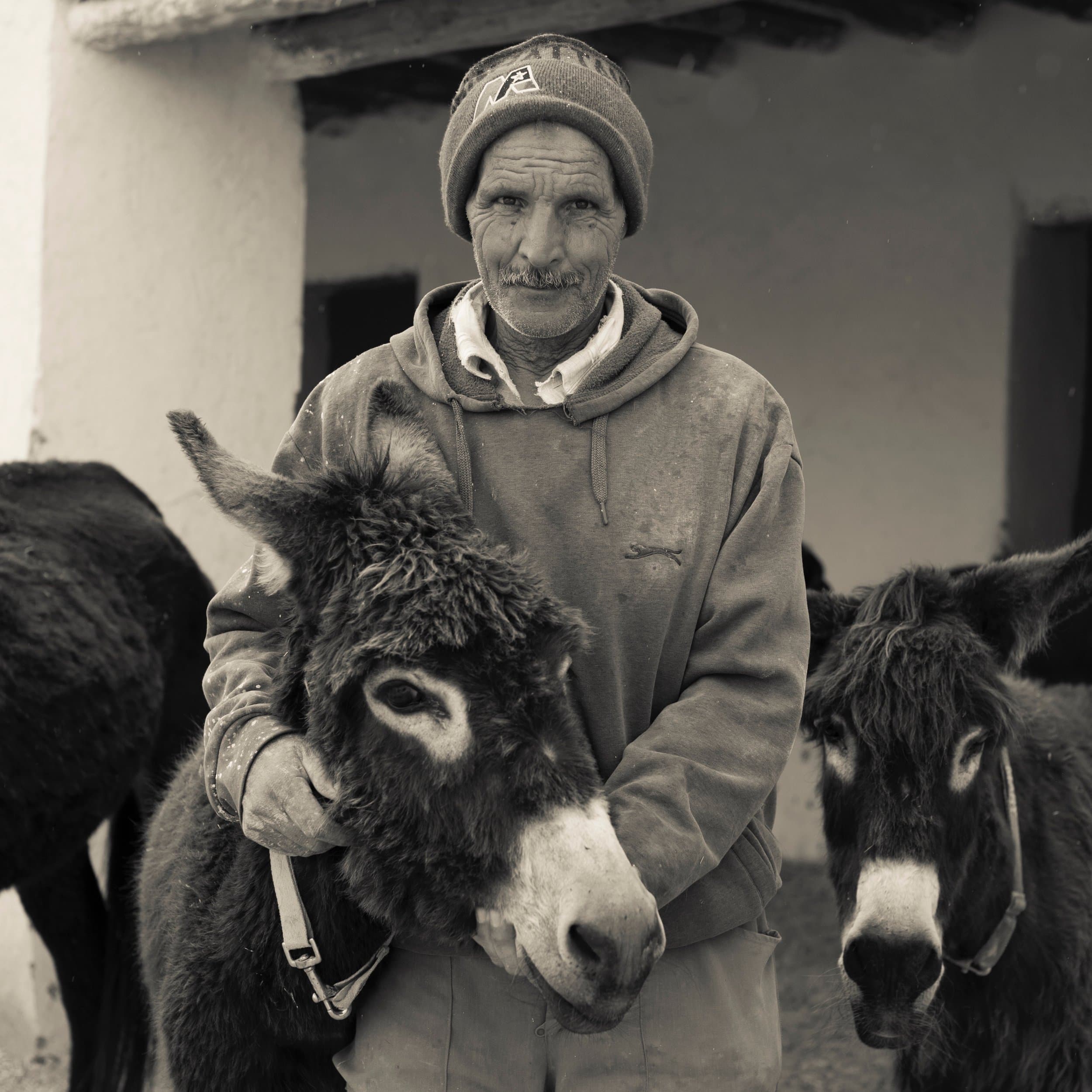A carer at Jarjeer holding a donkey close, surrounded by the herd